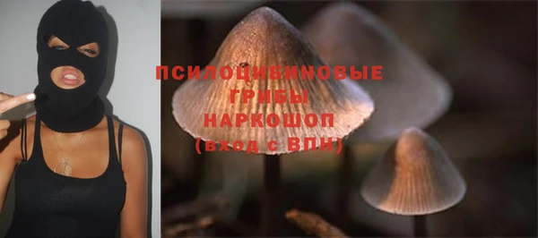 тгк Волоколамск