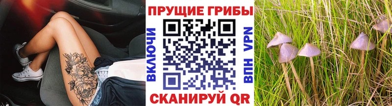 Галлюциногенные грибы Magic Shrooms Новокузнецк